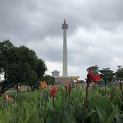 View of flowering plants against cloudy sky