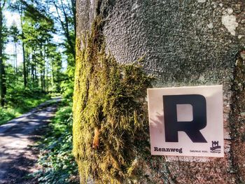 Close-up of information sign on tree trunk in forest