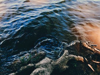 High angle view of rocks on sea shore