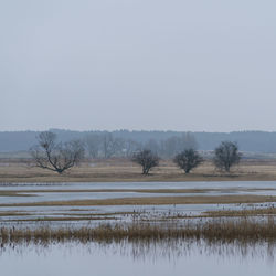 Scenic view of lake against clear sky during winter