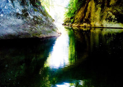 Scenic view of lake in forest