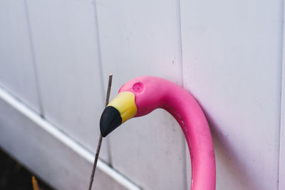 Close-up of artificial bird against white wall