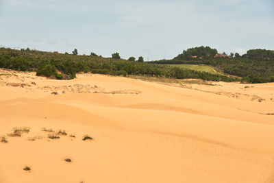 land
