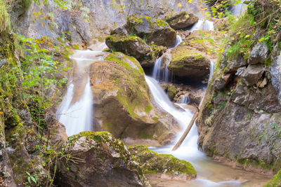 Scenic view of waterfall in forest