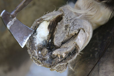 Directly above shot of axe by tree stump