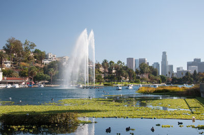 Echo park lake with swan boats, and downtown los angeles skyline in background