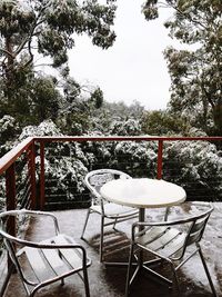 Empty chairs and table against trees during winter