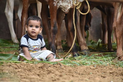 Portrait of boy looking at camera