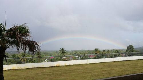 Rainbow over trees against sky