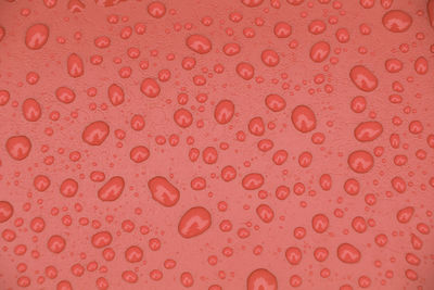 Full frame shot of wet red surface
