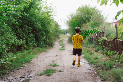 A six-year-old boy runs with green leaves in his hands in the countryside. back view