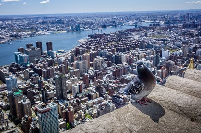 High angle view of cityscape