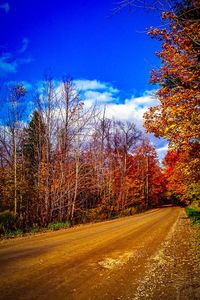 Road by trees against blue sky