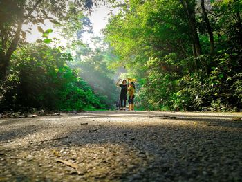 Man cycling on road amidst trees