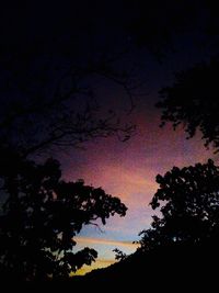 Low angle view of silhouette trees against sky