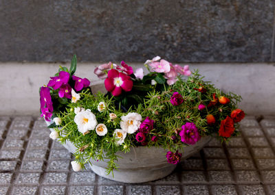 High angle view of pink flower pot