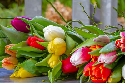 Close-up of red chili peppers on plant