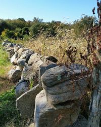 Rocks on landscape