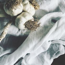 Close up of garlic fabric