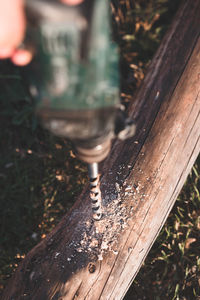 Close-up of water drops on wood