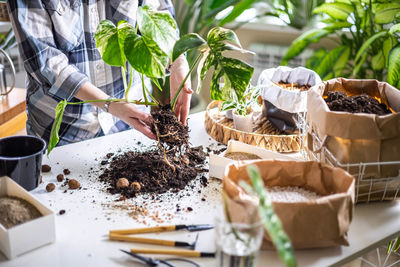 Midsection of man preparing food