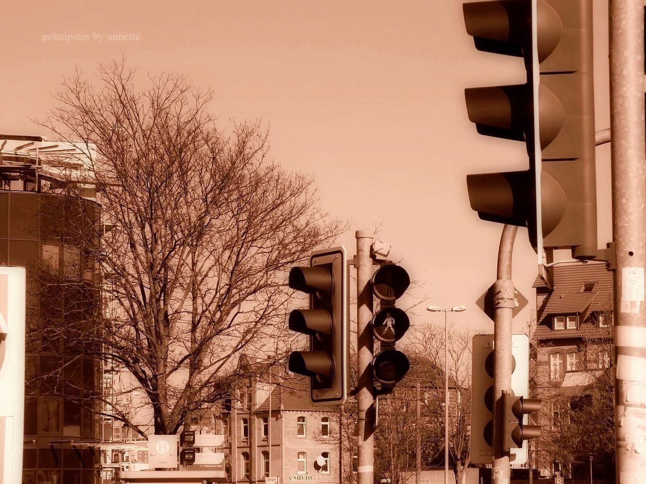 building exterior, architecture, built structure, tree, city, street light, residential building, lighting equipment, building, low angle view, bare tree, sky, house, residential structure, in a row, outdoors, no people, day, hanging, clear sky