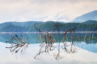 Scenic view of lake against sky