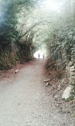 People walking in forest