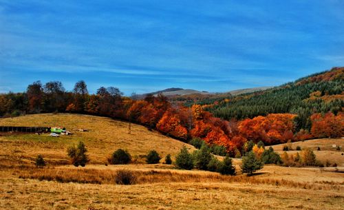 Trees on field against sky during autumn