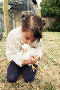 Cute girl holding hen outdoors