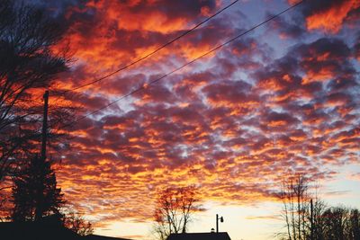 Low angle view of silhouette trees against dramatic sky