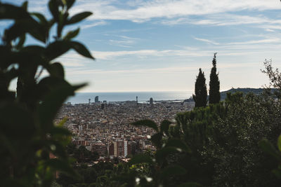 Trees and buildings in city against sky