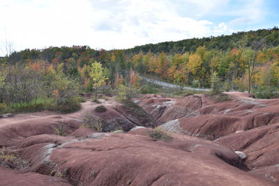 Scenic view of landscape against sky