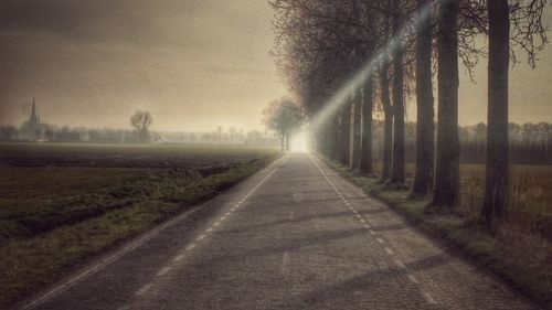 Road passing through forest