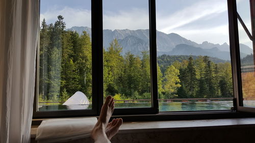 Low section of person by trees against sky seen through window