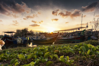 Boats moored at harbor against sky during sunset