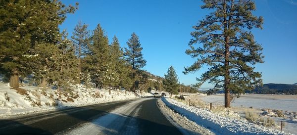 Empty road amidst trees against blue sky