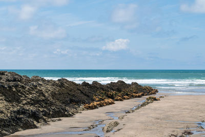 Scenic view of beach against sky