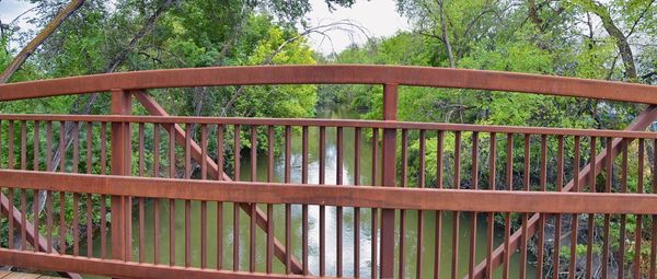 Railing by trees in forest