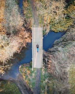 High angle view of person standing by lake in forest