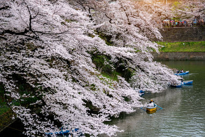 High angle view of people kayaking in sea