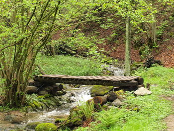 Stream flowing through rocks in forest