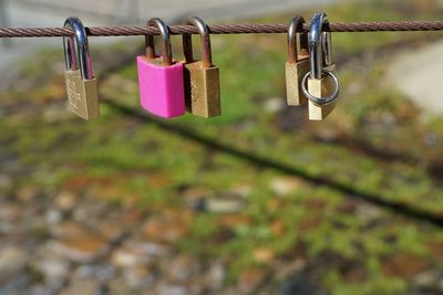 Close-up of padlocks on railing