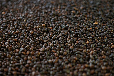 Full frame shot of coffee beans