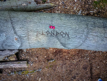 Heart shape on rock against the wall