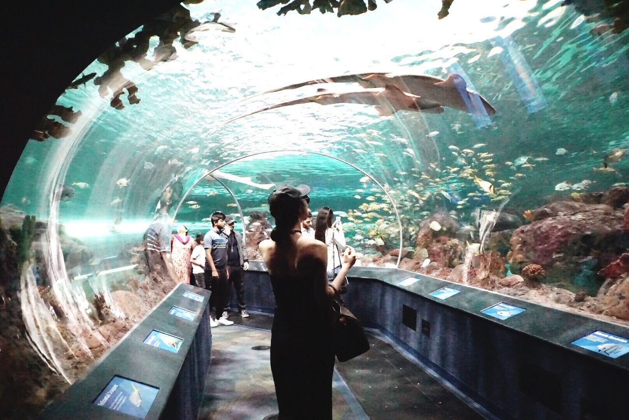 PEOPLE IN AQUARIUM