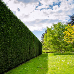 Road passing through landscape