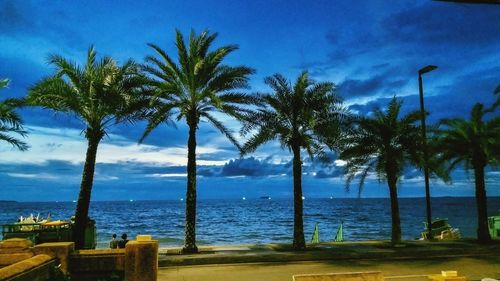 Palm trees by sea against sky