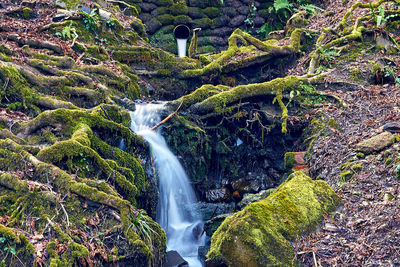 Scenic view of waterfall in forest