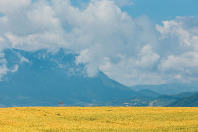 Scenic view of field against sky